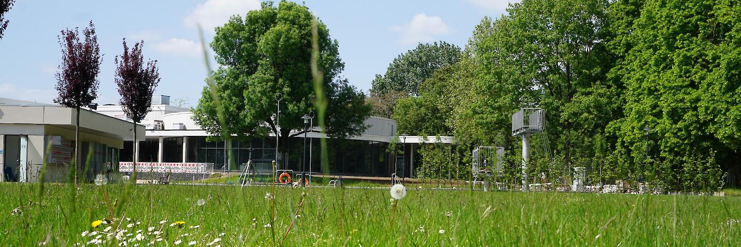 Blick von der Liegewiese aus auf das Mehrzweckbecken und das Hallenbad.