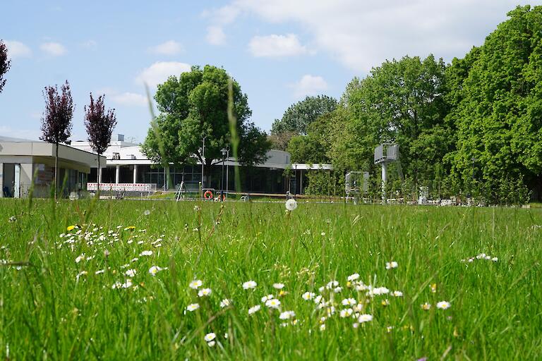 Blick von der Liegewiese aus auf das Mehrzweckbecken und das Hallenbad.