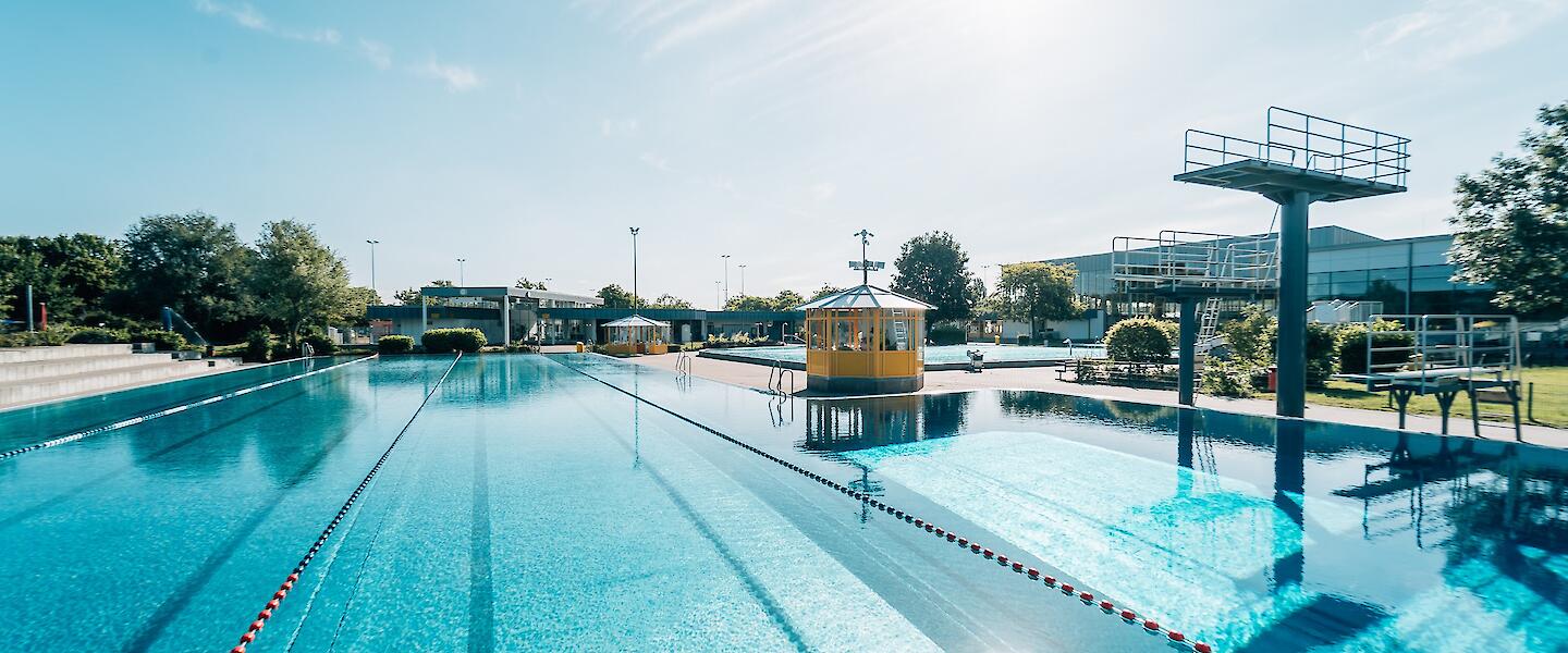 50m Becken im Freibad Rheinbad mit Sprunganlage