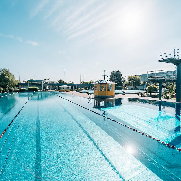 50m Becken im Freibad Rheinbad mit Sprunganlage